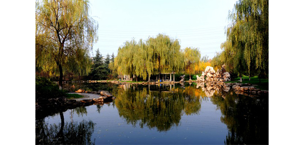我的大學-大學志