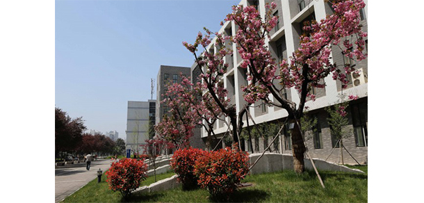 我的大學-大學志