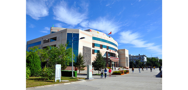 我的大學-大學志