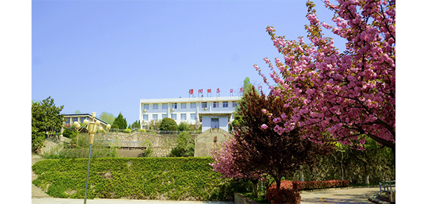 我的大學-大學志