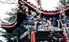 文化標(biāo)識(shí)：校名題寫(xiě) / ?；赵O(shè)計(jì)