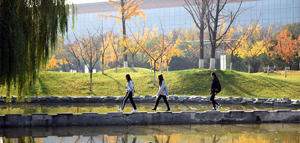 我的大學(xué)-大學(xué)志