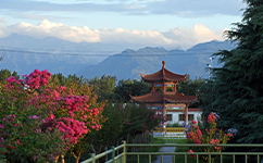 歷史沿革（概）校史