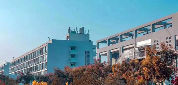 我的大學-大學志