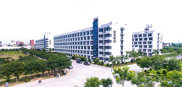 我的大學-大學志