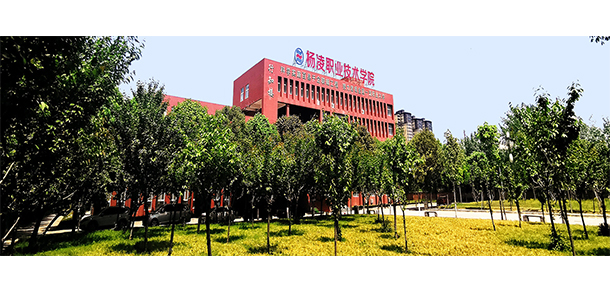 我的大學(xué)-大學(xué)志