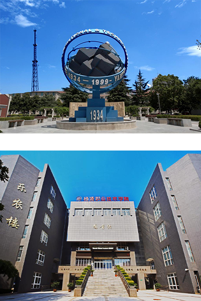 楊凌職業(yè)技術學院