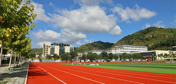 我的大學(xué)-大學(xué)志