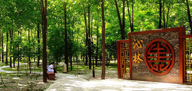 西安醫(yī)學高等專科學校 - 最美大學
