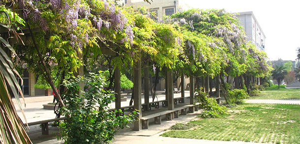 我的大學(xué)-大學(xué)志