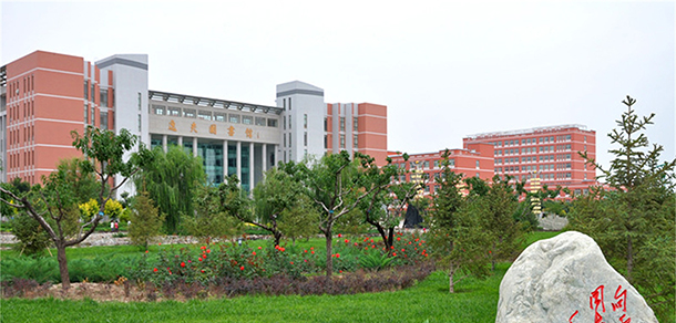 我的大學(xué)-大學(xué)志