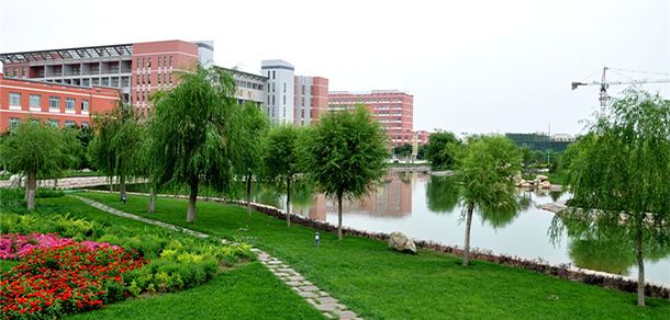 我的大學(xué)-大學(xué)志