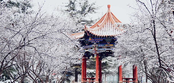 我的大學(xué)-大學(xué)志