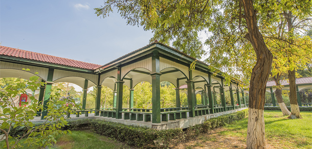 我的大學(xué)-大學(xué)志