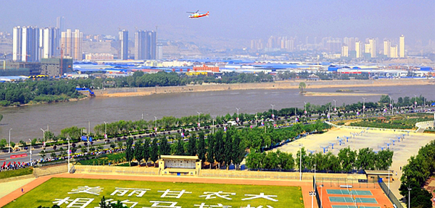 我的大學-大學志