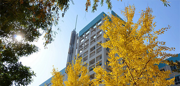 我的大學-大學志