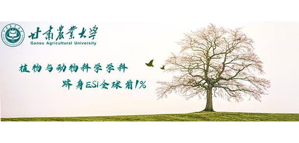 我的大學-大學志