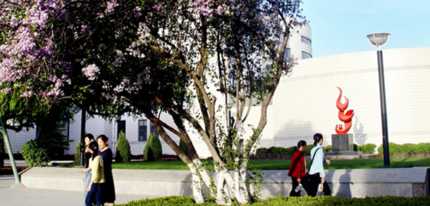 我的大學(xué)-大學(xué)志