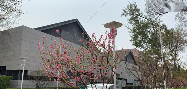 天津音樂學院 - 最美大學