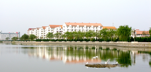 天津外國語大學濱海外事學院 - 最美大學