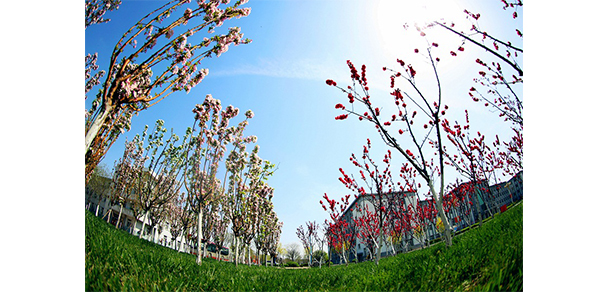 我的大學(xué)-大學(xué)志