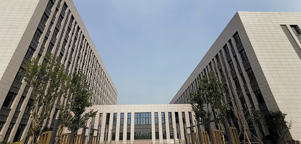 我的大學(xué)-大學(xué)志