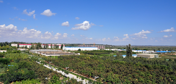 我的大學-大學志