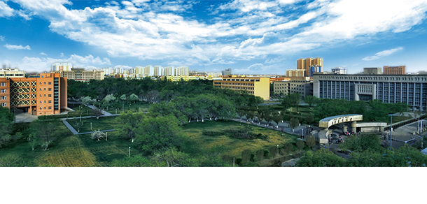 我的大學(xué)-大學(xué)志