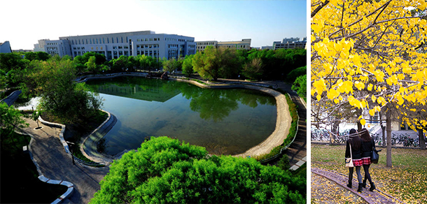 我的大學(xué)-大學(xué)志