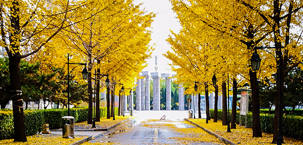 我的大學(xué)-大學(xué)志