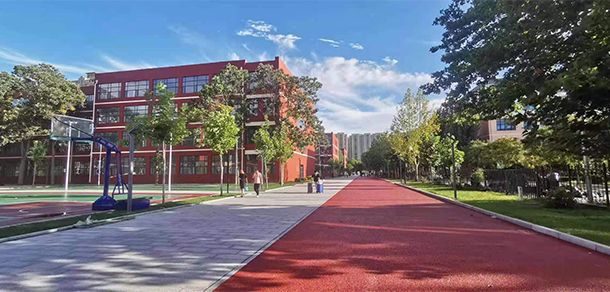 我的大學(xué)-大學(xué)志