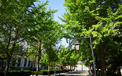 歷史沿革（概）校史