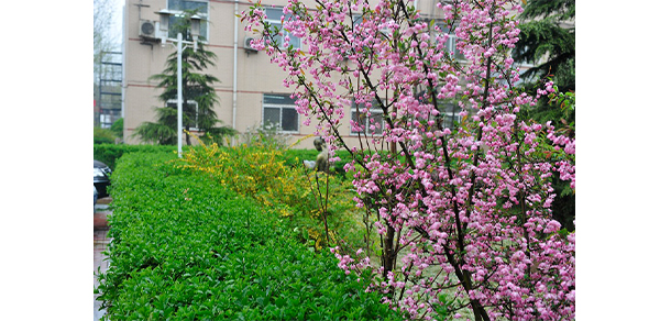 我的大學(xué)-大學(xué)志