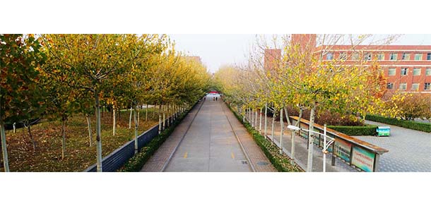 石家莊幼兒師范高等?？茖W校