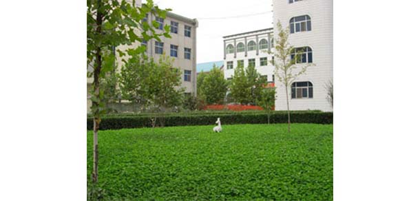 保定幼兒師范高等?？茖W(xué)校