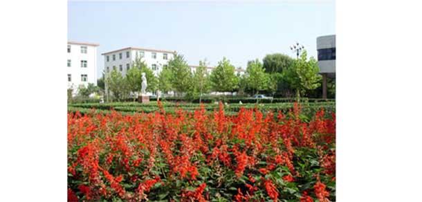 保定幼兒師范高等?？茖W(xué)校