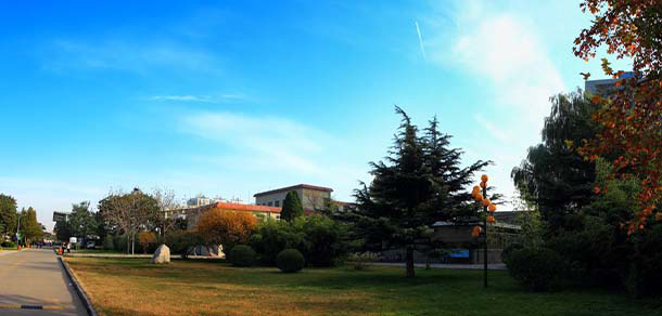 我的大學(xué)-大學(xué)志