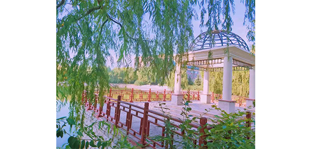我的大學-大學志