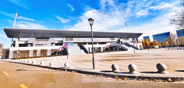 我的大學(xué)-大學(xué)志