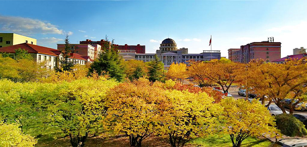 我的大學(xué)-大學(xué)志