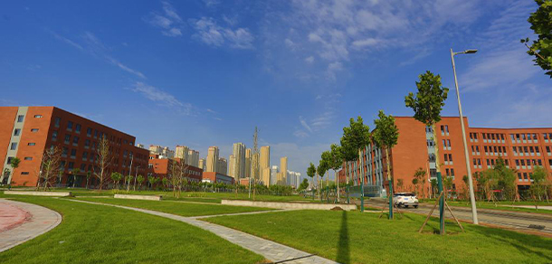我的大學(xué)-大學(xué)志