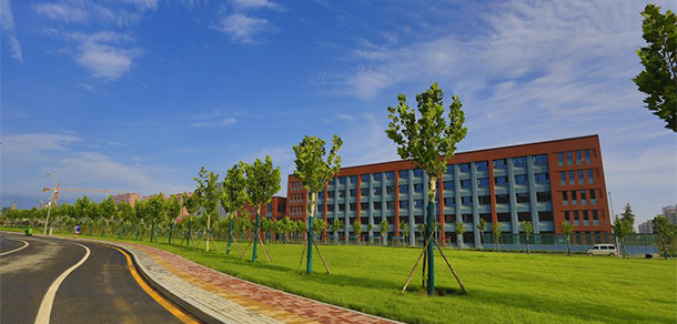 我的大學(xué)-大學(xué)志