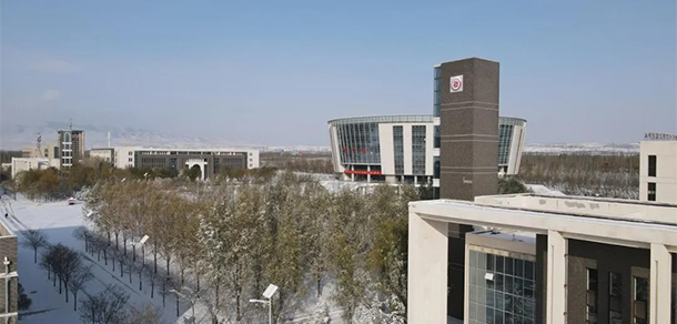 我的大學(xué)-大學(xué)志