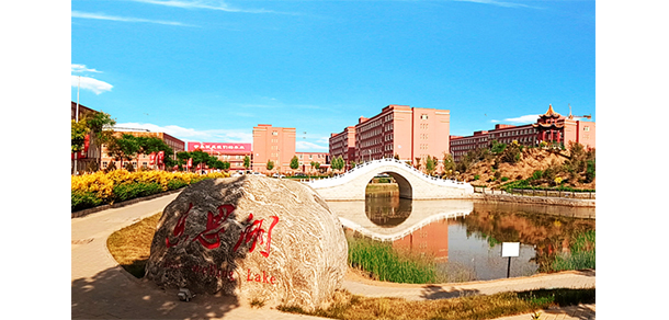 我的大學(xué)-大學(xué)志
