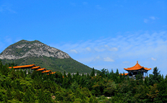 招生公告 · 招生簡(jiǎn)章 · 招生計(jì)劃
