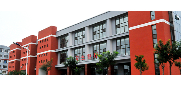 我的大學(xué)-大學(xué)志