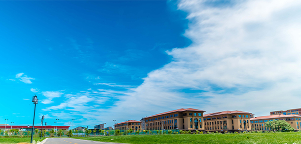 我的大學(xué)-大學(xué)志