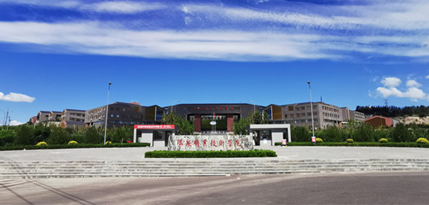 大學(xué)校志：校名、校標(biāo)、校訓(xùn)、?；?、校旗、校歌