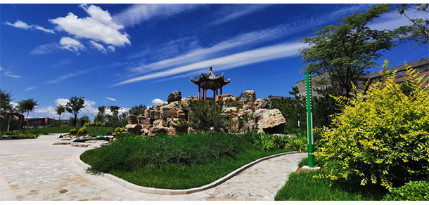 我的大學(xué)-大學(xué)志