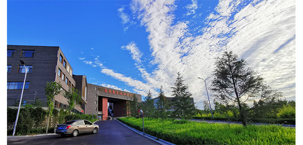 我的大學(xué)-大學(xué)志